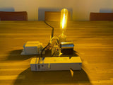 Philips SON-T 250W HID Ballast Unit E40 compleet