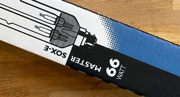 Philips MASTER SOX-E Pro 66W BY22d 8711500179784